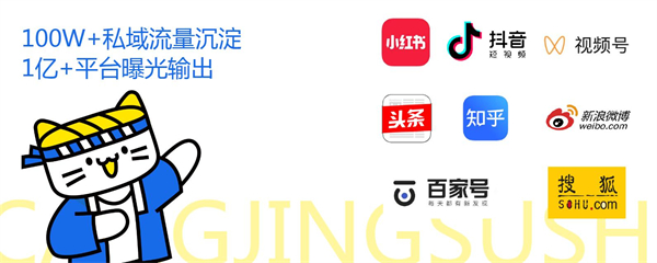 苍井寿司加盟费