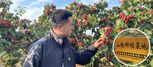 喜识小串冰糖葫芦加盟费