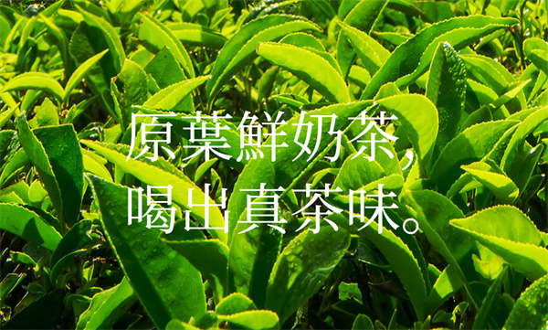 霸王茶姬奶茶店加盟费