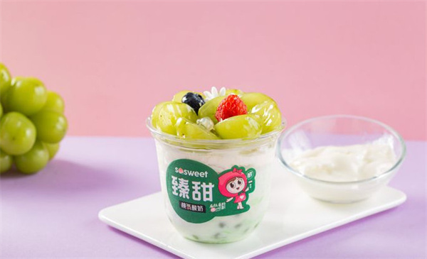 臻甜桃气酸奶加盟费