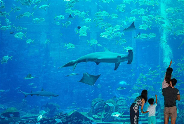 亚特兰蒂斯酒店加盟费