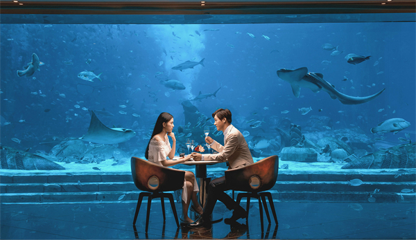 亚特兰蒂斯酒店加盟费