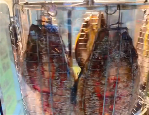 旋转无刺烤鱼加盟费