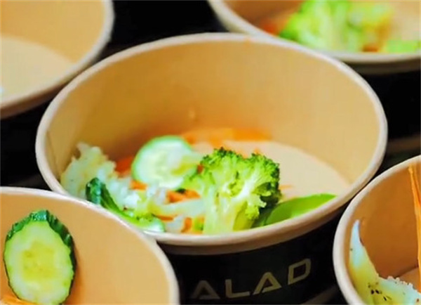 蔬三时轻食沙拉加盟费