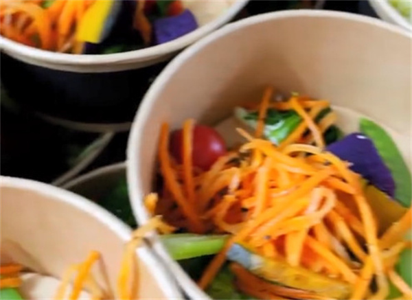 蔬三时轻食沙拉加盟费